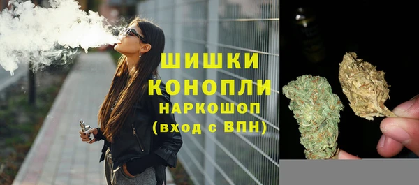 прущие крисы Белокуриха
