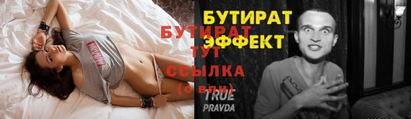 прущие грибы Новый Уренгой