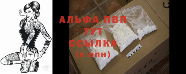 прущие крисы Белокуриха