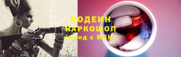 прущие грибы Новый Уренгой