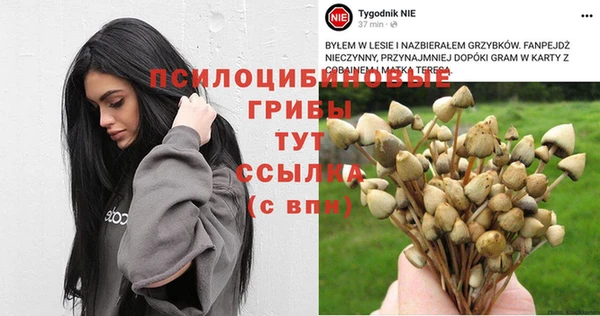 прущие крисы Белокуриха