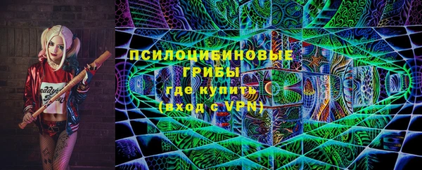 mdpv Долгопрудный