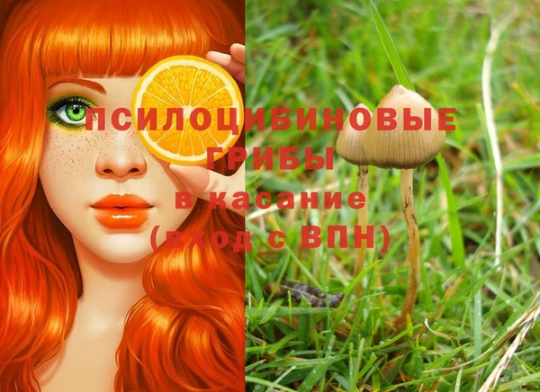 прущие крисы Белокуриха