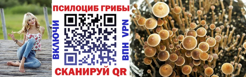Галлюциногенные грибы MAGIC MUSHROOMS  Губкинский 
